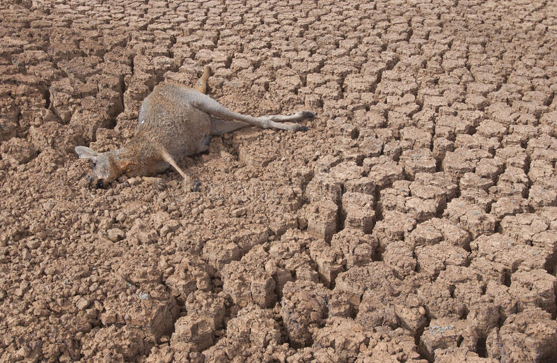 The Lasting Condition Drought In Australia Countercurrents