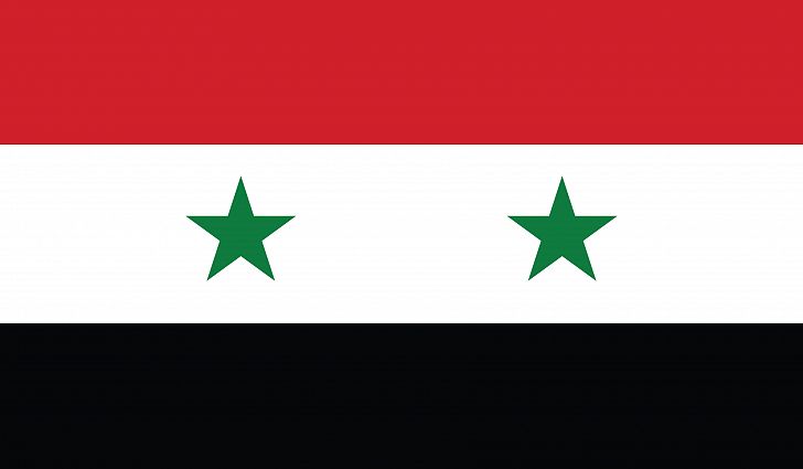 Syria - The Launch of a Constitutional Committee - a Sign of Hope for Syrian People ...